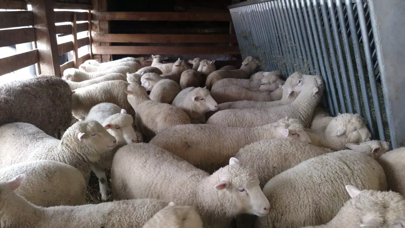 IMG_20180122_110053201-e1523282771505-1400x788